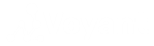 White - transparent background (1)