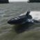 Kraken-Autonomous-Boats-for-UK-Navy